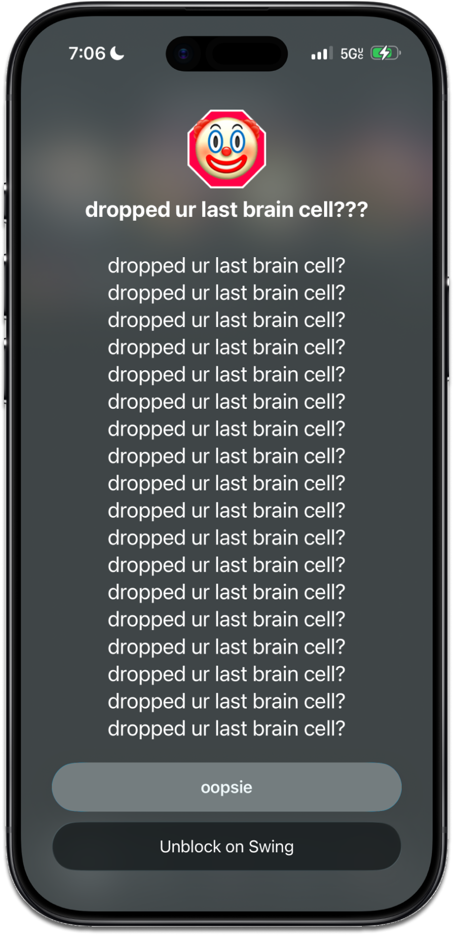 Swing shows a funny interruption before a protected iPhone app opens.